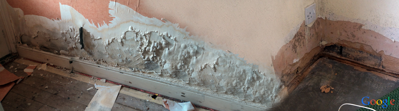 damp specialist london