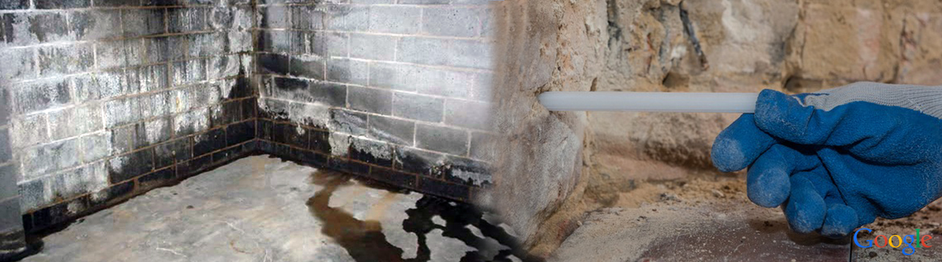 damp proofing specialist